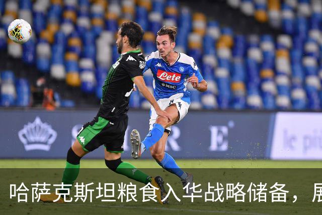 哈萨克斯坦粮食入华战略储备，展现新贸易趋势